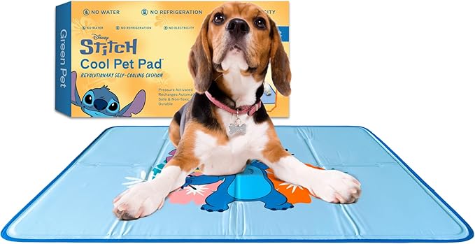 Dog Beds & Furniture
