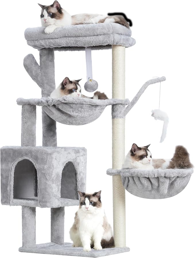 Dog Beds & Furniture