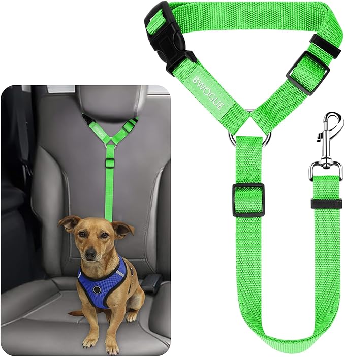 Collars