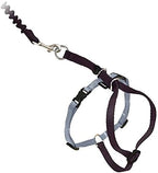 PetSafe Come With Me Kitty Cat Harness & Bungee Leash - Comfortable Cat Harness with Lightweight Bungee Leash for Outdoor Fun - More Secure Walks - Medium - Black