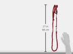 PetSafe Come With Me Kitty Harness and Bungee Leash, Medium, Red