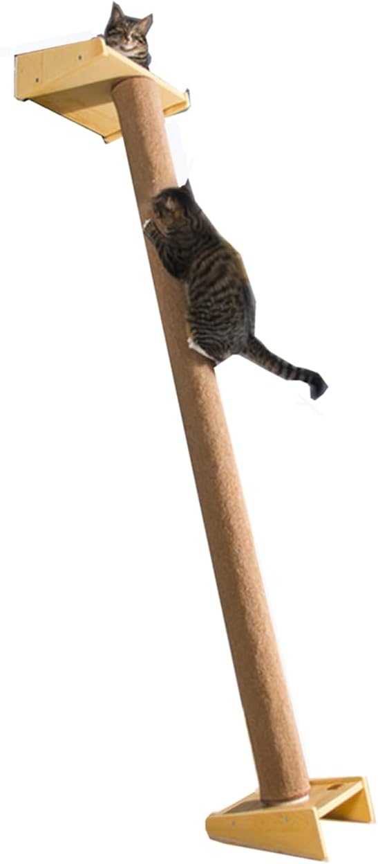 SHENGOCASE Modern 78.7“ Tall Leaning Cat Tree Tower Scratching Post Pillar with Bed Perch, Climbing Pole for Wall and Window, Wall Mounted Shelves