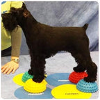 FitPAWS Paw Pods for Dog Agility