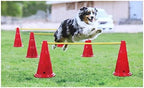 Etna Dog Agility Hurdle Set - 6 Canine Obedience Training Exercise Cones with 3 Collapsible Metal Bars - Adjustable Height