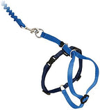 PetSafe Come With Me Kitty Cat Harness & Bungee Leash - Comfortable Cat Harness with Lightweight Bungee Leash for Outdoor Fun - More Secure Walks - Medium - Royal Blue