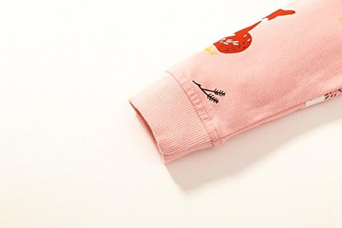 Bumeex Toddler Girl Sweatshirt Clothes Outfit,Cotton Crewneck Christmas Clothing