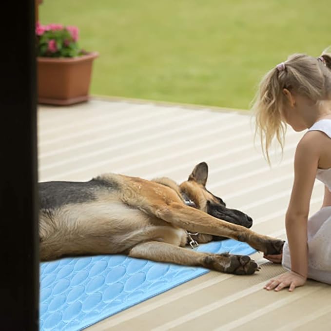Washable Dog Cooling Mat Ice Silk Cooling Mat for Dogs Pet Self Cooling Pad Blanket Dog Cooling Pad for Indoor & Outdoor Car Seats (Blue, 20x16 in)