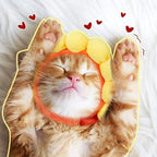 Weewooday 5 Pieces Cat Costume Christmas Bunny Hat Outfit with Ears Funny Cat Hat and Small Dogs Kitten Puppy Party Easter Christmas Headwear Costume Accessory(Cute Style)