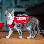 AIWAI Tactical Cat Harness for Walking Escape Proof, Adjustable Pet Vest Harness, Soft Mesh with Control Handle for Large Cat Small Dog, Gift with Patch