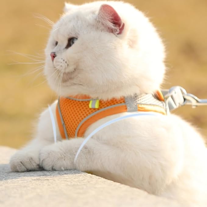 Cat Harness and Leash Set Soft Adjustable Escape Proof Cat Leash Breathable Comfortable Vest Easy to Wear Kitten/Small Dogs Harness for Outdoor Walking