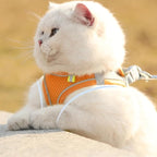 Cat Harness and Leash Set Soft Adjustable Escape Proof Cat Leash Breathable Comfortable Vest Easy to Wear Kitten/Small Dogs Harness for Outdoor Walking