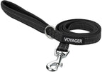 Best Pet Supplies Voyager Reflective Dog Leash or Collar with Neoprene Handle, for Small, Medium, and Large Breed Puppies, Cute and Heavy Duty for Walking, Running and Training - Black (Leash), S