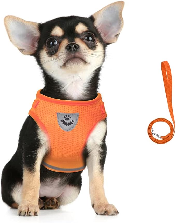 FEimaX Dog Harness and Leash Set for Walking, Soft Mesh Adjustable Easy Control Lightweight Cat Vest Harnesses with Reflective Strips, Escape Proof Small Dogs Cats Vests (Orange, Large)