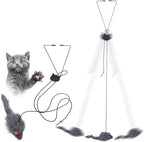 Kalimdor Interactive Cat Feather Toys,Retractable Teaser Toy ，Hanging Interactive Toys for Indoor Cats Kitten Play Chase Exercise, Kitten Mental Exercise Toys (2 Pack)