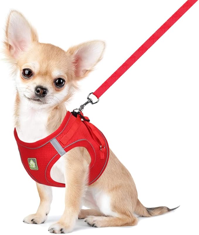 FEimaX Dog Harness and Leash Set, No Pull Breathable Soft Mesh Puppy Vest Harness Reflective Adjustable Pet Harnesses for Small Medium Dogs and Cats - Outdoor Easy Control for Walking