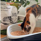 KOCHO Hinoki Wood Cat Litter Ultra Lightweight, Fresh Scent of Japanese Cypress (7pcs Pack (23.8LB))