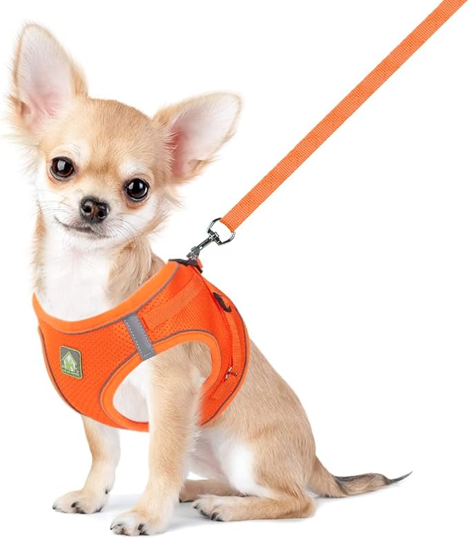 FEimaX Dog Harness and Leash Set, No Pull Breathable Soft Mesh Puppy Vest Harness Reflective Adjustable Pet Harnesses for Small Medium Dogs and Cats - Outdoor Easy Control for Walking