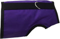 Kitty Holster Cat Harness – Secure Cat Harness for Walking, Soft Cotton Cat Accessories, Comfortable Fit, Strong Hook-and-Loop Closure, Made in USA – Purple, S/M