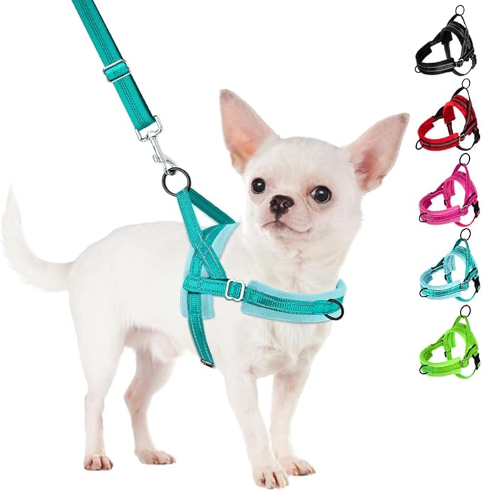 SlowTon No Pull Small Dog Harness and Leash Set, Puppy Soft Vest Harness Neck & Chest Adjustable, Reflective Lightweight Harness & Anti-Twist Pet Lead Combo for Small Medium Dogs(BL-Front Clip,XXS)