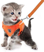 FEimaX Dog Harness and Leash Set for Walking, Soft Mesh Adjustable Easy Control Lightweight Cat Vest Harnesses with Reflective Strips, Escape Proof Small Dogs Cats Vests (Orange, Large)