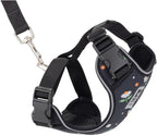 RC Pets Adventure Kitty Cat Harness | Adjustable Airmesh Vest with D-Ring and 6ft Leash for Walking and Travel | Daisies, Large