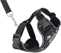 RC Pets Adventure Kitty Cat Harness | Adjustable Airmesh Vest with D-Ring and 6ft Leash for Walking and Travel | Daisies, Small