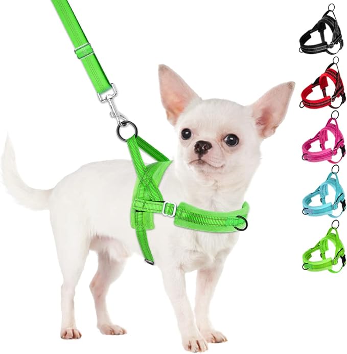 SlowTon No Pull Small Dog Harness and Leash Set, Puppy Soft Vest Harness Neck & Chest Adjustable, Reflective Lightweight Harness & Anti-Twist Pet Lead Combo for Small Medium Dogs (G-Front Clip,XXS)