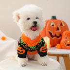 ANIAC Halloween Small Dog Sweater Pumpkin Cat Turtleneck Knitwear Warm Pet Halloween Costume Pumpkin cat Outfit Holiday Puppy Dog Clothes for Girl Boys (Black+Orange, X-Large)