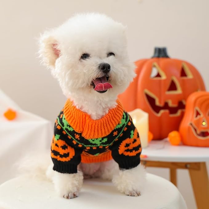 ANIAC Halloween Small Dog Sweater Pumpkin Cat Turtleneck Knitwear Warm Pet Halloween Costume Pumpkin cat Outfit Holiday Puppy Dog Clothes for Girl Boys (Black+Orange, Medium)