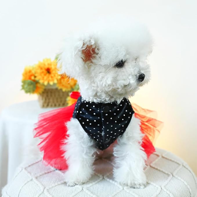 Black Polka Dot Dog Dress with D-Ring, Puppy Wedding Attire for Small Dog Girl,Cat Birthday Outfit, Red Tutu Party Dress for Kitten Chihuahua Yorkie Pomeranian (Black, Medium)