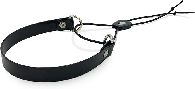 Sparky Pet Co - ECollar Replacement Strap - Bungee Dog Collar - Waterproof - Adjustable - Secure Nexus Wheel Lock - for Electronic Training & Invisible Fence Systems - 1" (Black)