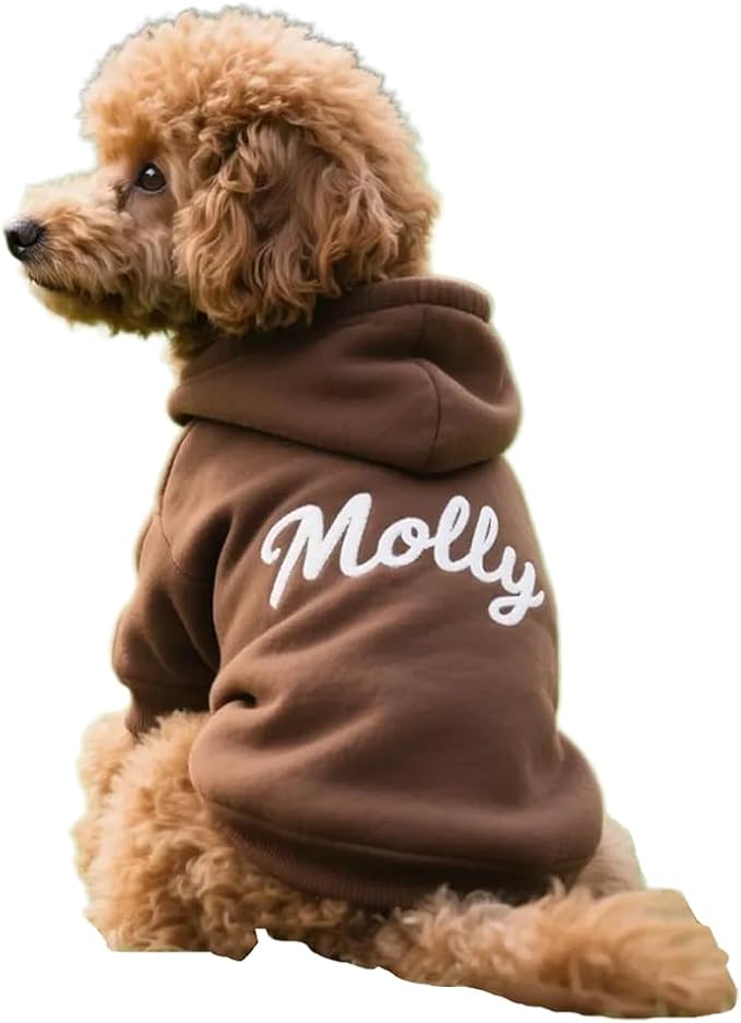 GODMERCH Custom Name Embroidered Dog Hoodie, Embroidery Dog Sweaters for Small Dogs, Pet Clothes, Pet Mom Lovers Gifts