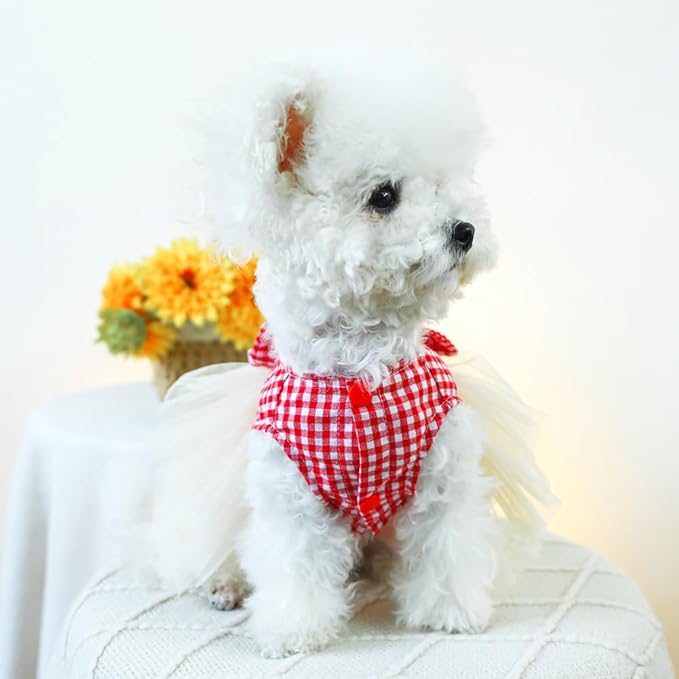 Plaid Small Dog Dress with Leash Ring Valentines Cat Outfit Dog Tutu Princess Holiday Puppy Clothes with Bow Knot and Heart Pet Apparel for Kitten Chihuahua Yorkie (Red, Large)