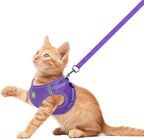 FEimaX Dog Harness and Leash Set, No-Pull Breathable Soft Mesh Puppy Vest Harness Reflective Adjustable Pet Harnesses for Small Medium Dogs and Cats - Outdoor Easy Control for Walking (L, Purple)