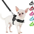 SlowTon No Pull Small Dog Harness and Leash Set, Puppy Soft Vest Harness Neck & Chest Adjustable, Reflective Lightweight Harness & Anti-Twist Pet Lead Combo for Small Medium Dogs (Black, XS)