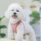 Step in Dog Harness and Leash Set, Flower Adjustable Easy Walk Puppy Harnesses, Soft Mesh Pet Vest Harness Small Size Dog Adjustable No Pull Dog Harness for Small Medium Dogs(Pink, M)