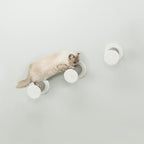Trixie Wall Mount XXL Cat Climbing Steps, Cat Furniture, Scratching Post, 3pcs, Gray
