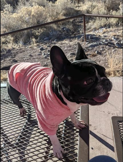 Blank Dog Sweatshirt Pet Hoodie for Medium Girl Dogs Doggie Clothes