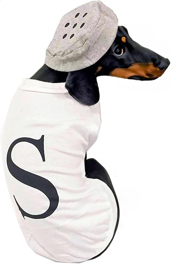 Salt and Pepper Dog Costume Halloween Pet Dog Cosplay Salt & Pepper Theme Costume (White, XX-Large)