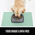 GORILLA GRIP 100% Waterproof Raised Edge BPA Free Silicone Pet Feeding Mat, Dog Cat Food Mats Contain Spills Protects Floors, Placemats for Cats and Dogs Water Bowl, Pets Accessories 32x24 Mint