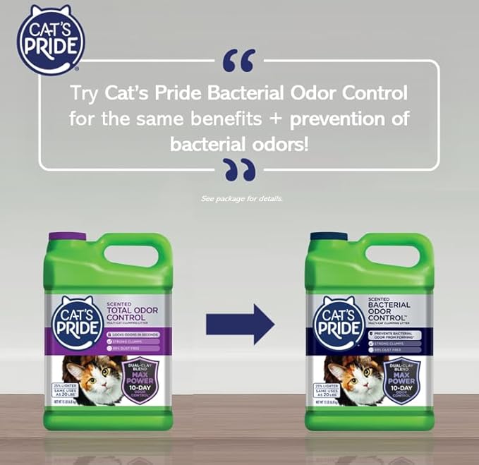 Cat's Pride Max Power: Total Odor Control - Up to 10 Days of Powerful Odor Control - Strong Clumping - 99% Dust Free - Multi-Cat Litter, Scented, 15 Pounds