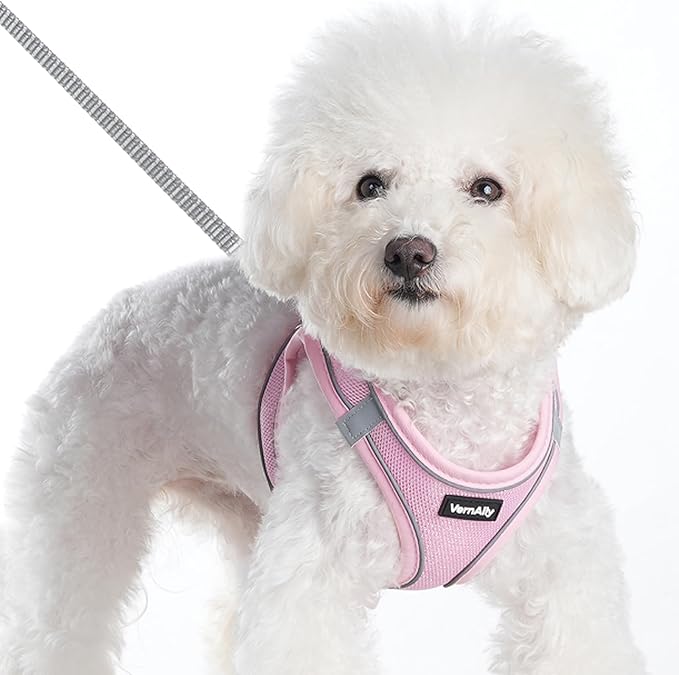 Sparkly Dog Harness Small Sized and Leash Set for Small Dogs Cats,Pink S Puppy Harness, Step in Soft Dog Reflective Vest, Breathable Mesh Pet Harness. (Pink, M)