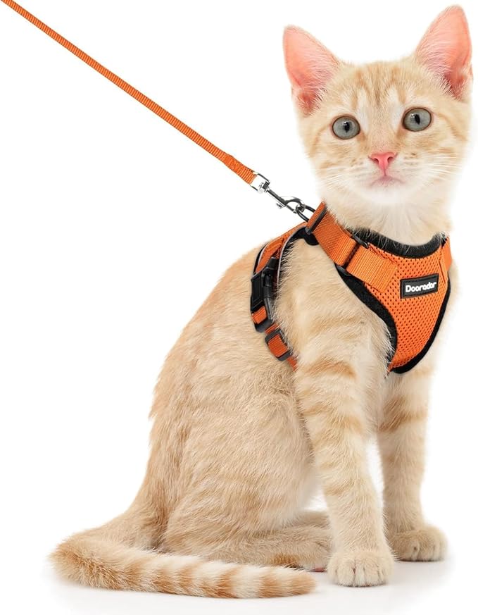 Dooradar Cat Harness and Leash Set, Escape Proof Safe Adjustable Kitten Vest Harnesses for Walking, Easy Control Soft Breathable Mesh Jacket with Reflective Strips for Cats, Orange, XS