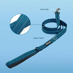 Best Pet Supplies Voyager Reflective Dog Leash or Collar with Neoprene Handle, for Small, Medium, and Large Breed Puppies, Cute and Heavy Duty for Walking, Running and Training - Blue (Leash), L