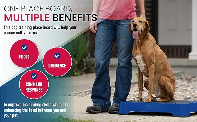 HUNTMARK Dog Training Place Board - Durable Hunting Dog Training Platform - Non-Skid Surface and Nonslip Feet - Stackable, Portable Agility Platform - Modern Puppy Trainer Equipment (Dark Blue)