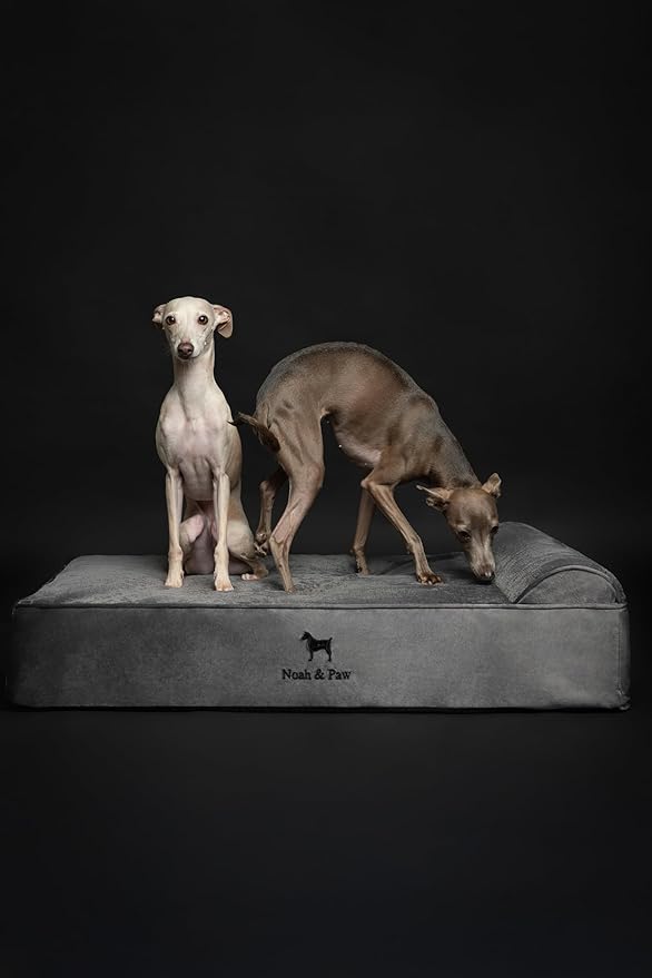 NOAH & PAW Large Dog Bed, 35x25x8.7 Inch, Orthopedic Dog Beds, Eggshell Memory Foam Infused with Cooling Gel, Waterproof, Machine Washable, Includes Inner Cover (Velvet Collection)