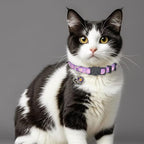 Cat Collar Breakaway, 2 Pack Cotton Cats Collars with Bells, Cute Flowers Shaped for Girl Boy Kittens, Purple and Blue