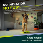 FitPAWS Balance Ramp | Dog Agility Equipment for Balancing, Obedience Training, and Sensory Stimulation