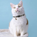 Breakaway Cat Collars with Bell & Cute Pendants, 3 Pack Safety Buckle Kitten Collars, Adjustable Pet Collar Ideal for Girl Boy Cats Puppy (Moon&Star)