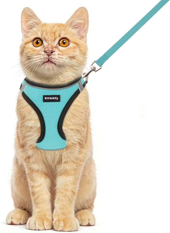 Rttochfy Cat Harness and Leash Set, Escape Proof Kitten Harness, Soft and Breathable Vest with Reflective Strip, Easy to Wear for Cats Walking and Traveling (BK Cyan, S)